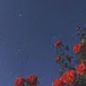 Meet your Posher, Saharla